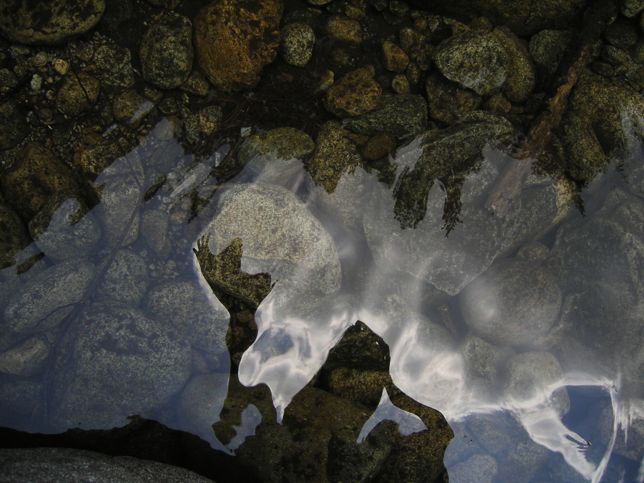 an eagle's eye view of stones under clear water